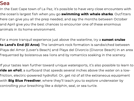 Sea In the East Cape town of La Paz, it’s possible to have very close encounters with the ocean’s largest fish when y...