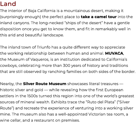 Land The interior of Baja California is a mountainous desert, making it (surprisingly enough) the perfect place to ta...