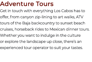 Adventure Tours Get in touch with everything Los Cabos has to offer, from canyon zip lining to art walks, ATV tours o...