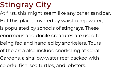 Stingray City At first, this might seem like any other sandbar. But this place, covered by waist deep water, is popul...