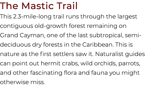 The Mastic Trail This 2.3 mile long trail runs through the largest contiguous old growth forest remaining on Grand Ca...
