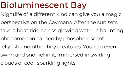 Bioluminescent Bay Nightlife of a different kind can give you a magic perspective on the Caymans. After the sun sets,...