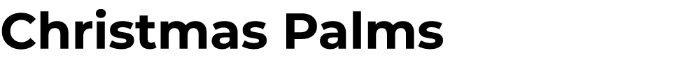 Christmas Palms 