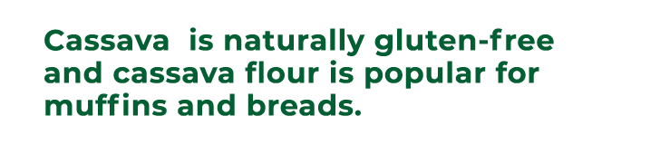 Cassava is naturally gluten free and cassava flour is popular for muffins and breads.