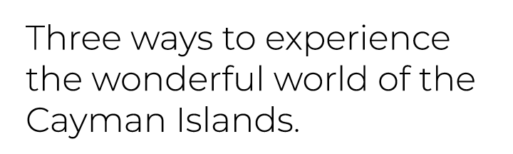 Three ways to experience the wonderful world of the Cayman Islands.