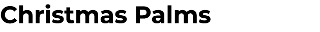 Christmas Palms 