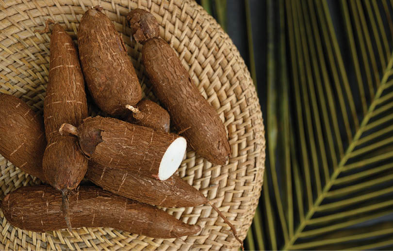 Organic raw Cassava tuber on wicker tray and palm leaves. View from above. Copy space. Yucca cassava root.