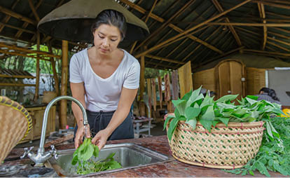 Front view shot of a Malaysian woman washing freshly picked vegetables in an outdoor sink of a green bamboo building.