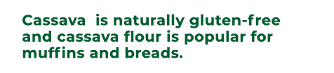 Cassava is naturally gluten free and cassava flour is popular for muffins and breads.