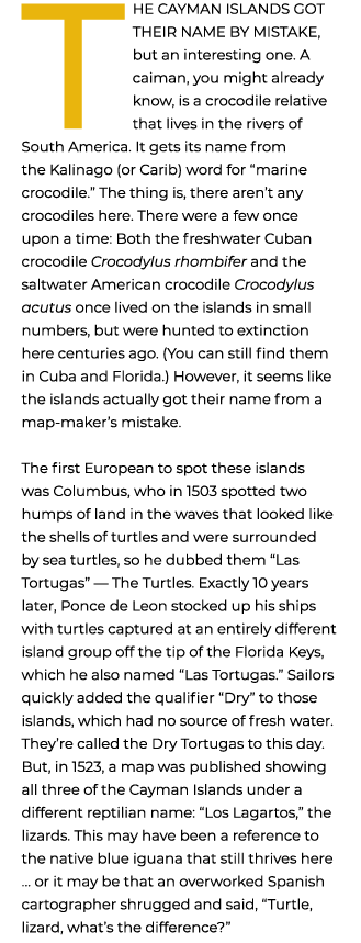 The Cayman Islands got their name by mistake, but an interesting one. A caiman, you might already know, is a crocodil...