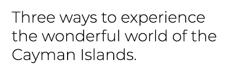 Three ways to experience the wonderful world of the Cayman Islands.