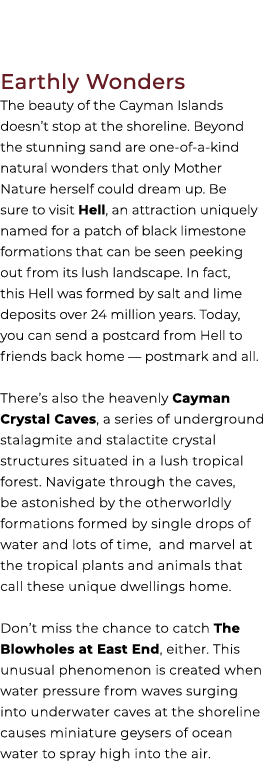 Earthly Wonders The beauty of the Cayman Islands doesn’t stop at the shoreline. Beyond the stunning sand are one of a...