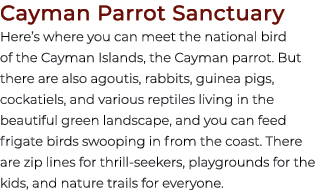 Cayman Parrot Sanctuary Here’s where you can meet the national bird of the Cayman Islands, the Cayman parrot. But the...