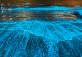 Bioluminescence Jervis Bay, Australia
