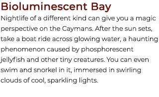 Bioluminescent Bay Nightlife of a different kind can give you a magic perspective on the Caymans. After the sun sets,...
