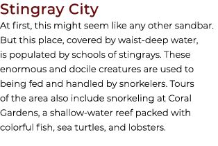 Stingray City At first, this might seem like any other sandbar. But this place, covered by waist deep water, is popul...