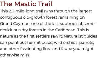 The Mastic Trail This 2.3 mile long trail runs through the largest contiguous old growth forest remaining on Grand Ca...