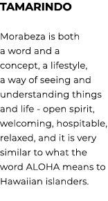 Tamarindo Morabeza is both a word and a concept, a lifestyle, a way of seeing and understanding things and life open ...