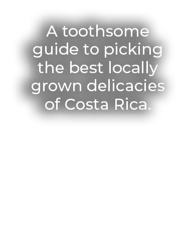 A toothsome guide to picking the best locally grown delicacies of Costa Rica.