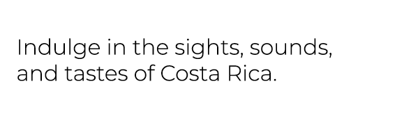 Indulge in the sights, sounds, and tastes of Costa Rica.