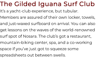 The Gilded Iguana Surf Club It’s a yacht club experience, but tubular. Members are assured of their own locker, towel...