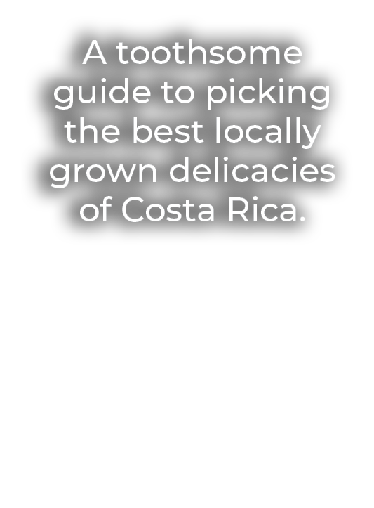 A toothsome guide to picking the best locally grown delicacies of Costa Rica.
