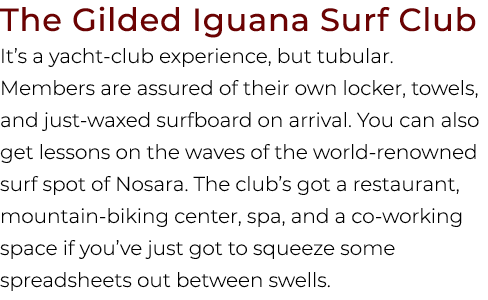 The Gilded Iguana Surf Club It’s a yacht club experience, but tubular. Members are assured of their own locker, towel...