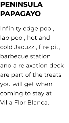 Peninsula Papagayo Infinity edge pool, lap pool, hot and cold Jacuzzi, fire pit, barbecue station and a relaxation de...