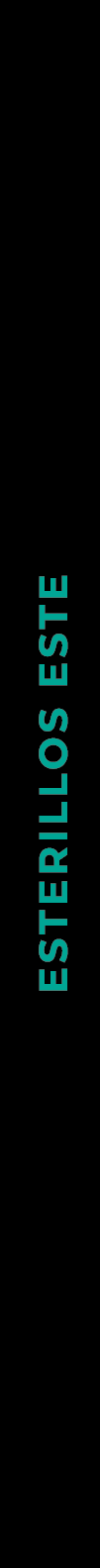 Esterillos Este
