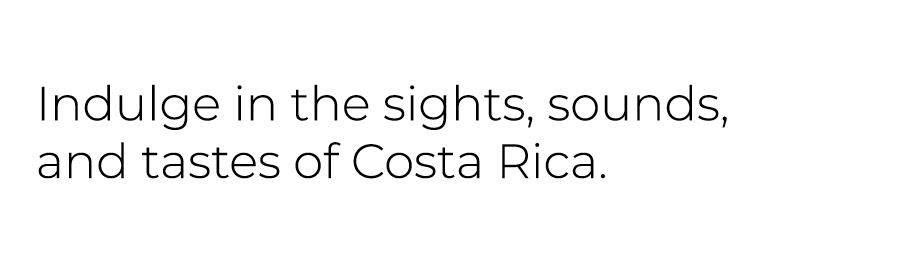 Indulge in the sights, sounds, and tastes of Costa Rica.