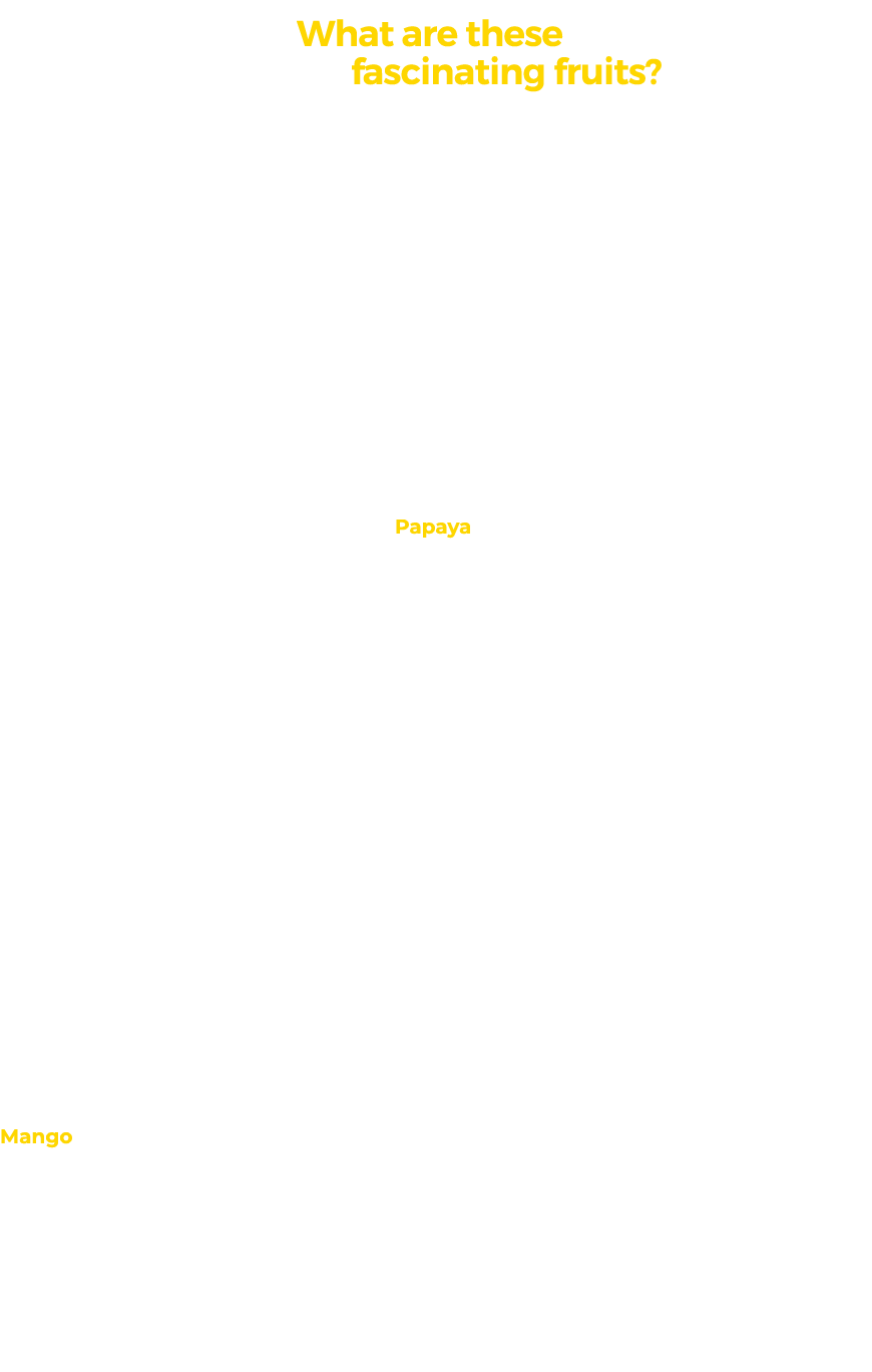 What are these fascinating fruits? After your first real Costa Rican breakfast, you’re likely to find yourself wonder...