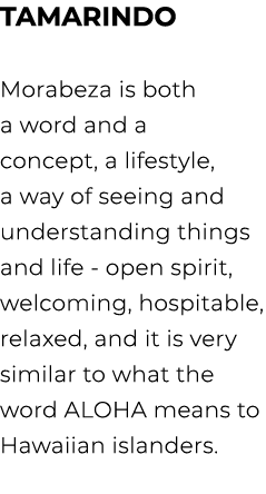 Tamarindo Morabeza is both a word and a concept, a lifestyle, a way of seeing and understanding things and life open ...
