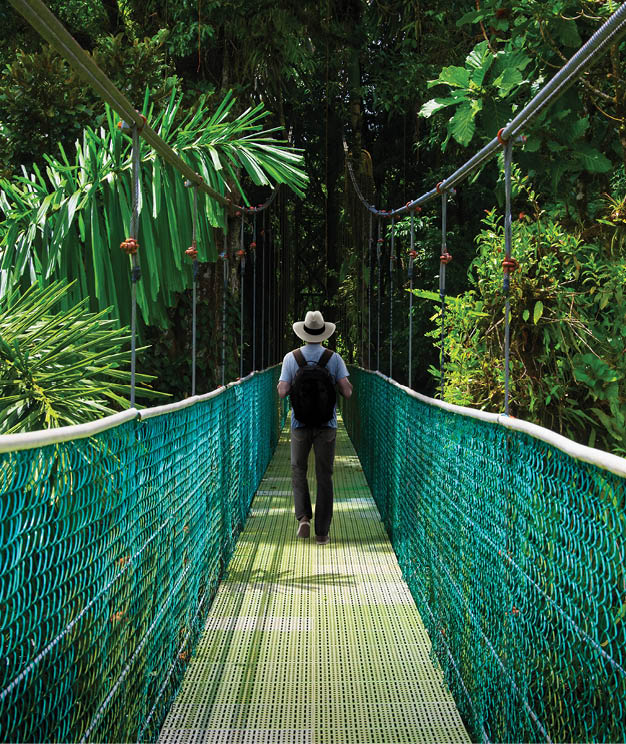 Suspension bridge with backpacker in tropical rain forest