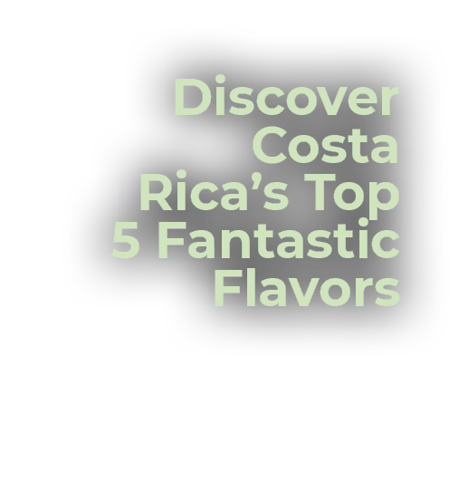Discover Costa Rica’s Top 5 Fantastic Flavors