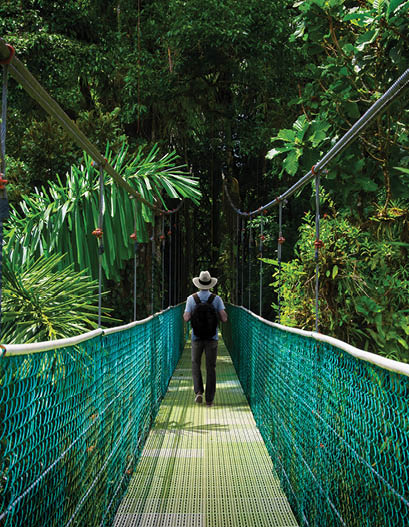 Suspension bridge with backpacker in tropical rain forest