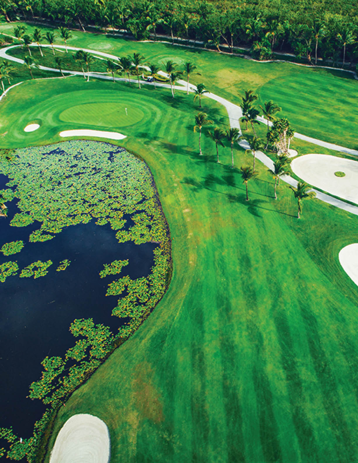 Aerial view of tropical golf course, Dominican Republic, Punta Cana