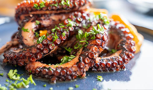 Delicious gourmet grilled octopus, or Octopus a la gallega