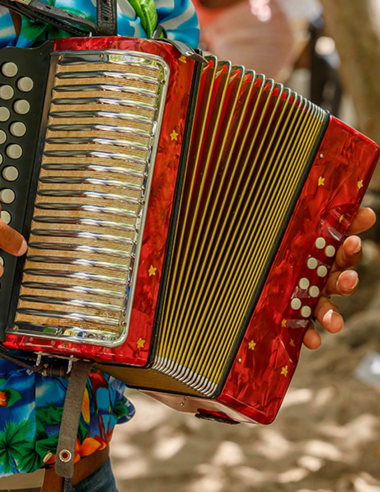Dominican Republic. The beach musician plays the accordion. Hands on the accordion close-up. Accordionist.