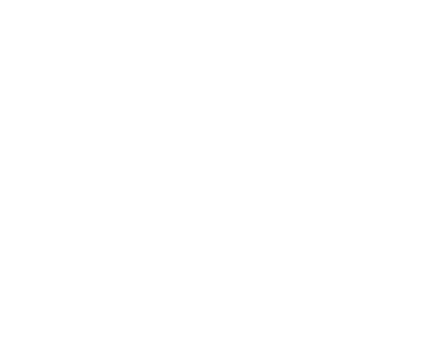 Dare to Dream