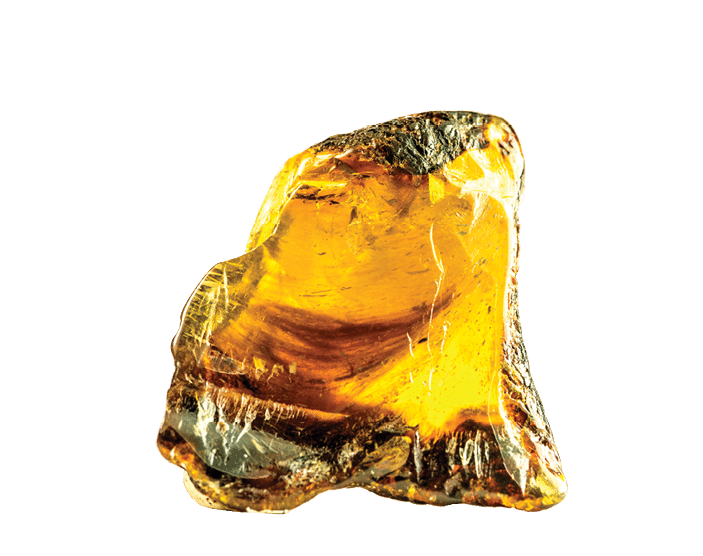 Dominican amber stone in a closeup