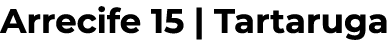 Arrecife 15 | Tartaruga