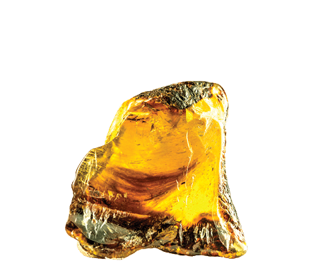 Dominican amber stone in a closeup