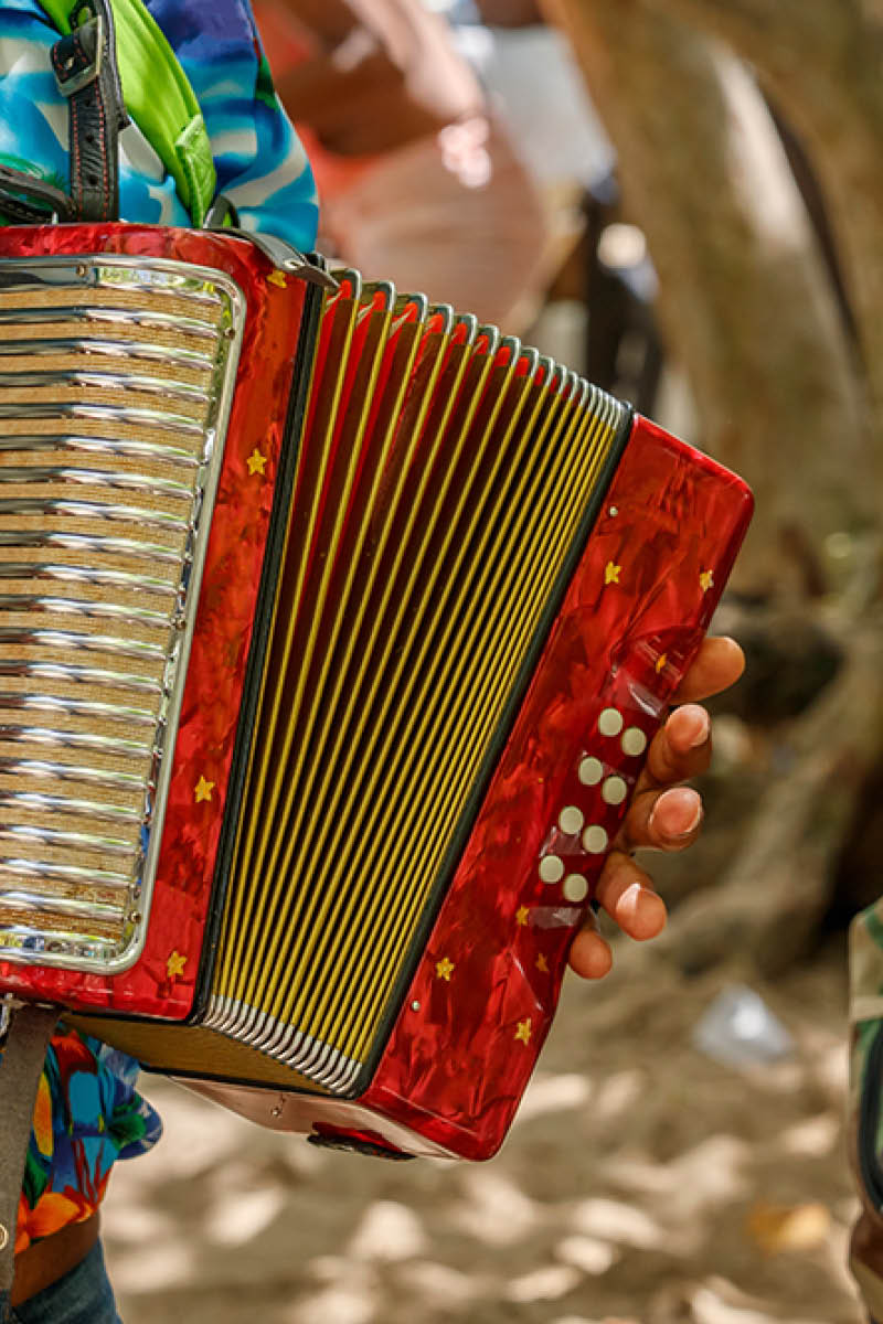 Dominican Republic. The beach musician plays the accordion. Hands on the accordion close-up. Accordionist.