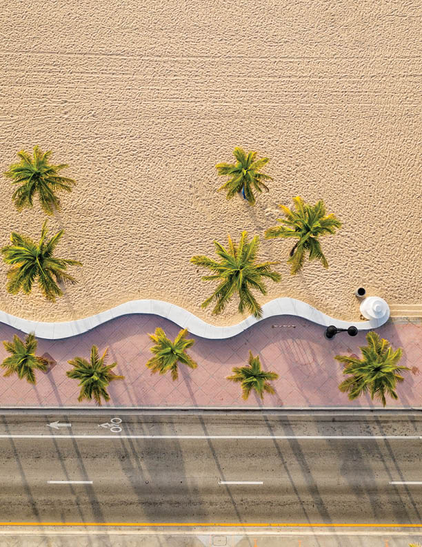 Aerial top view of Fort Lauderdale Beach walkway with palm trees, Florida