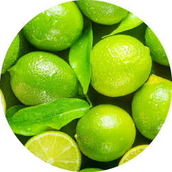 Fresh limes with water drops. Tasty and juicy citrus fruit. Close-up. Top view, flat lay. Natural backdrop.