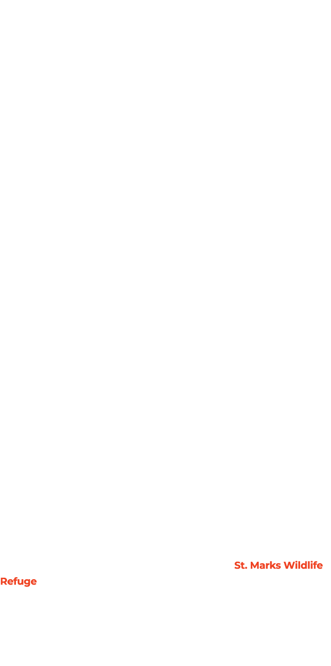 The tagline “the Greatest Show on Earth” was written to promote the Ringling Brothers and Barnum & Bailey Circus, but...