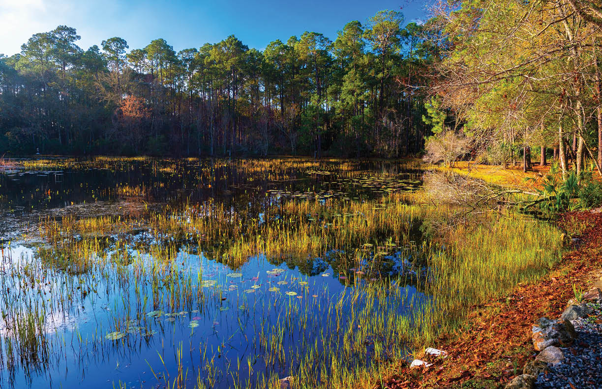 St. Marks National Wildlife Refuge at sunrise. It encompasses 68,000 acres spread between Wakulla, Jefferson, and Taylor Counties in the state of Florida.