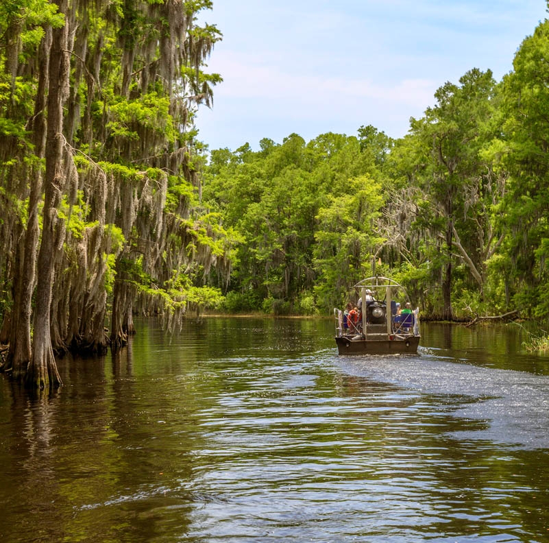 An Airboat ride down Shingle Creek near Kissimmee, Florida where Birders and Tourists enjoy the eco-tourism opportunities found there on a year-round basis.