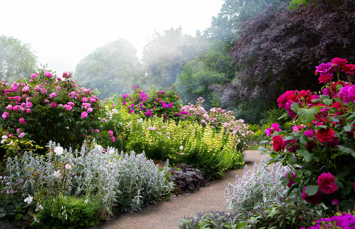Art flowers in the morning in an English park