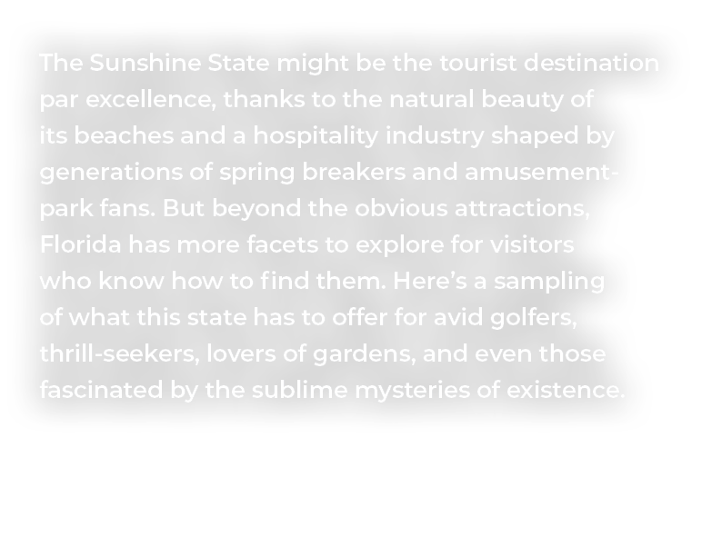 The Sunshine State might be the tourist destination par excellence, thanks to the natural beauty of its beaches and a...